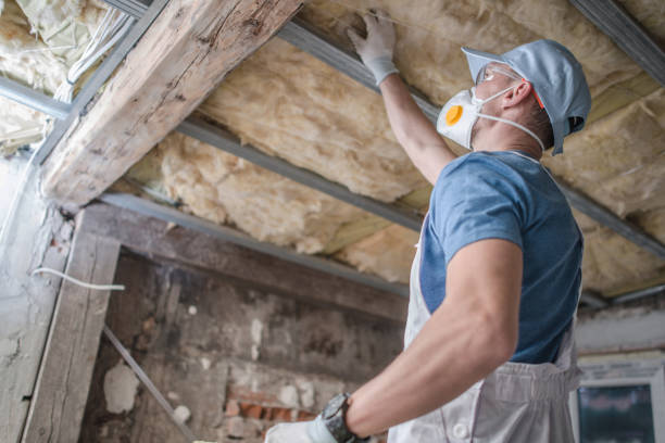 Best Cellulose Insulation  in Ivanhoe, TX