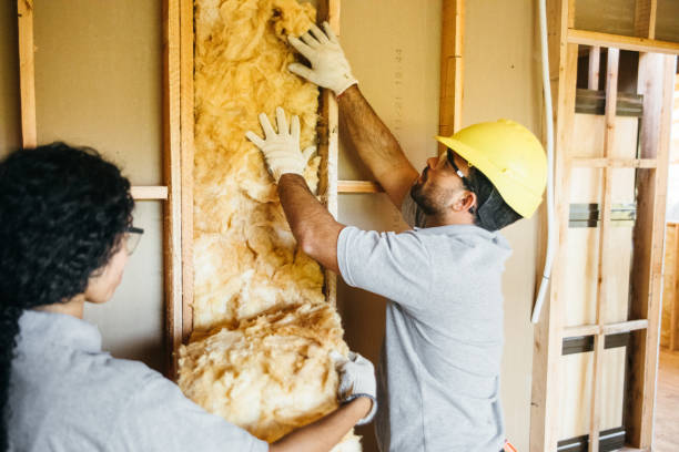 Best Attic Insulation Installation  in Ivanhoe, TX