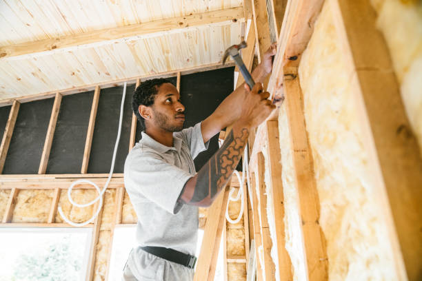 Best Blown-in Insulation  in Ivanhoe, TX