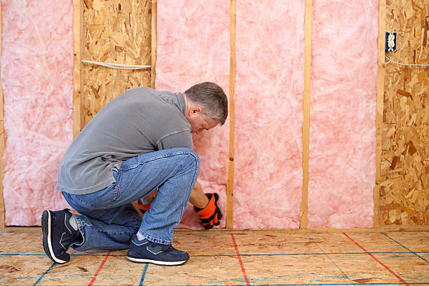 Best Insulation Inspection Services  in Ivanhoe, TX