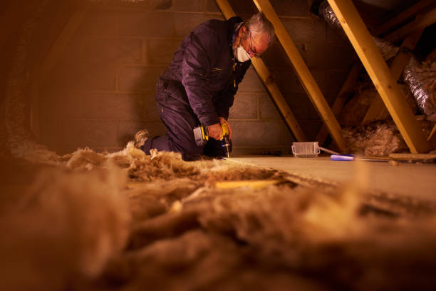 Best Soundproof Insulation Installation  in Ivanhoe, TX