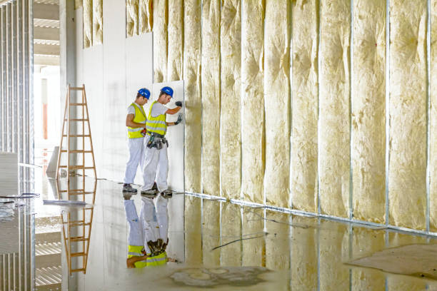 Best Crawl Space Insulation  in Ivanhoe, TX